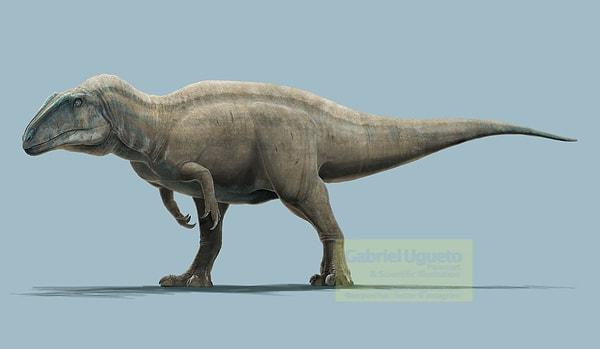 Bir teropod türü olan Acrocanthosauruslar, üç tırnaklı ve yaklaşık 7 ton ağırlığında bir dinozor türüydü.