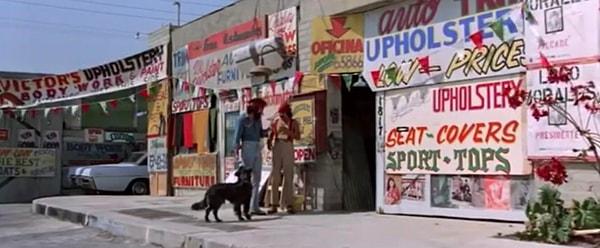 12. 'Cheech & Chong's Up in Smoke' filmindeki Chongs'un dürümünü yiyen köpek gerçek bir sokak köpeği. Senaryoda yokmuş!