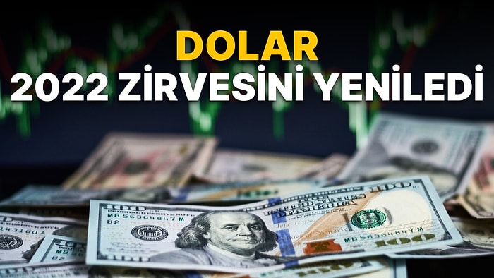 Dolar 2022 Zirvesini Yeniledi! 25 Ağustos Dolar Ne Kadar?