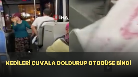 Kedilerin Çuvallı Ölüm Yolculuğuna Bir Hayvansever 'Dur' Dedi