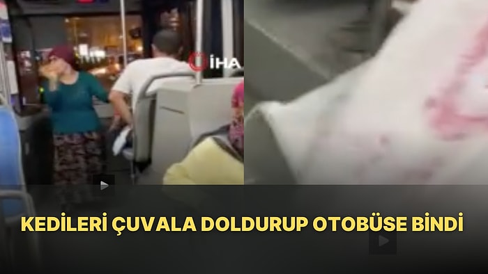 Kedilerin Çuvallı Ölüm Yolculuğuna Bir Hayvansever 'Dur' Dedi