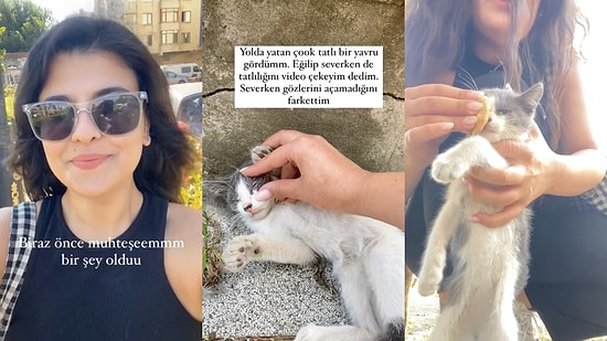 Yolda Gözü Enfeksiyon Kapan Yavru Kediyi Fark Edip Onu Sağlığına Kavuşturan Kadının İçimizi Isıtan Anları