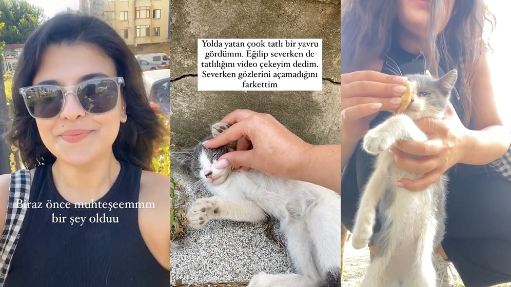 Yolda Gözü Enfeksiyon Kapan Yavru Kediyi Fark Edip Onu Sağlığına Kavuşturan Kadının İçimizi Isıtan Anları