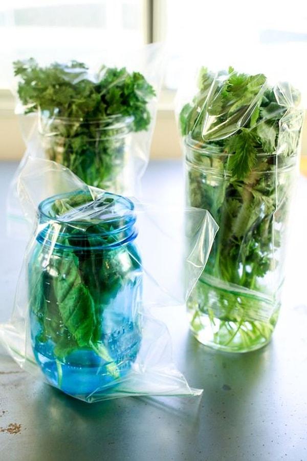 3. Maydanoz, nane, fesleğen, biberiye... Yeşil yapraklı sebzeleri içi su dolu bir kavanozda kökleri aşağı gelecek şekilde bekletirseniz uzun süre tazeliğini korur.