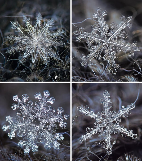 18. Потрясающие Фотографии Настоящих Снежинок От Алексея Клятова