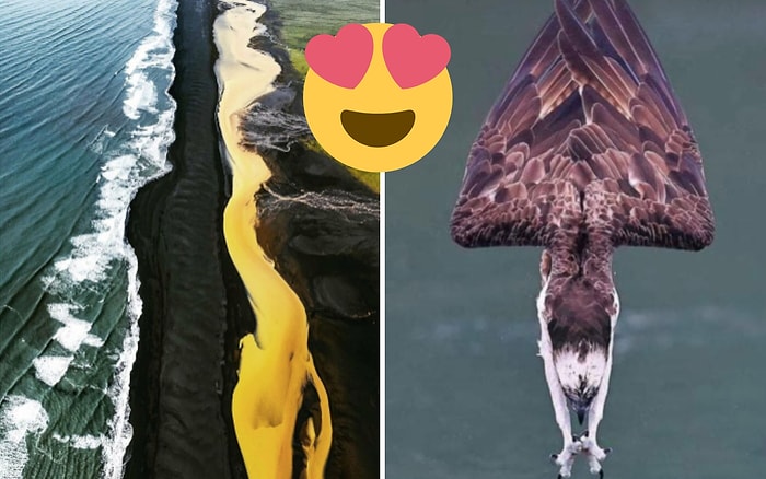 Удивительные и странные вещи, которые есть в нашем мире (20 лучших фото)