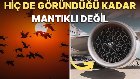 Uçak Motorlarının Önüne İstenmeyen Kazaları Önlemek İçin Neden Tel Örgü Koyulamaz?