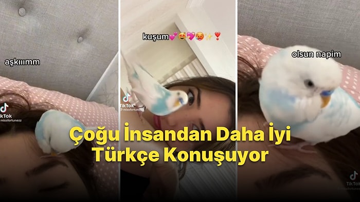 Çoğu İnsandan Daha İyi Türkçe Konuşuyor: Muhabbet Kuşuyla Tartışan Kadının Viral Olan Görüntüleri