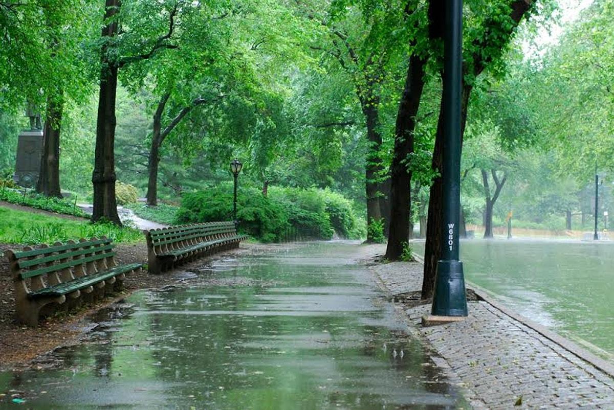 Парк пасмурно. Дождливый парк. Дождь в парке. Летний дождь в парке. Парк дождь лето.