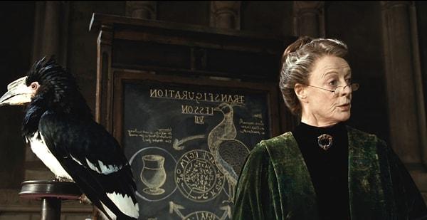 3. Harry Potter ve Sırlar Odası'nda McGonagall'ın kara tahtasının ters olduğu sahne…