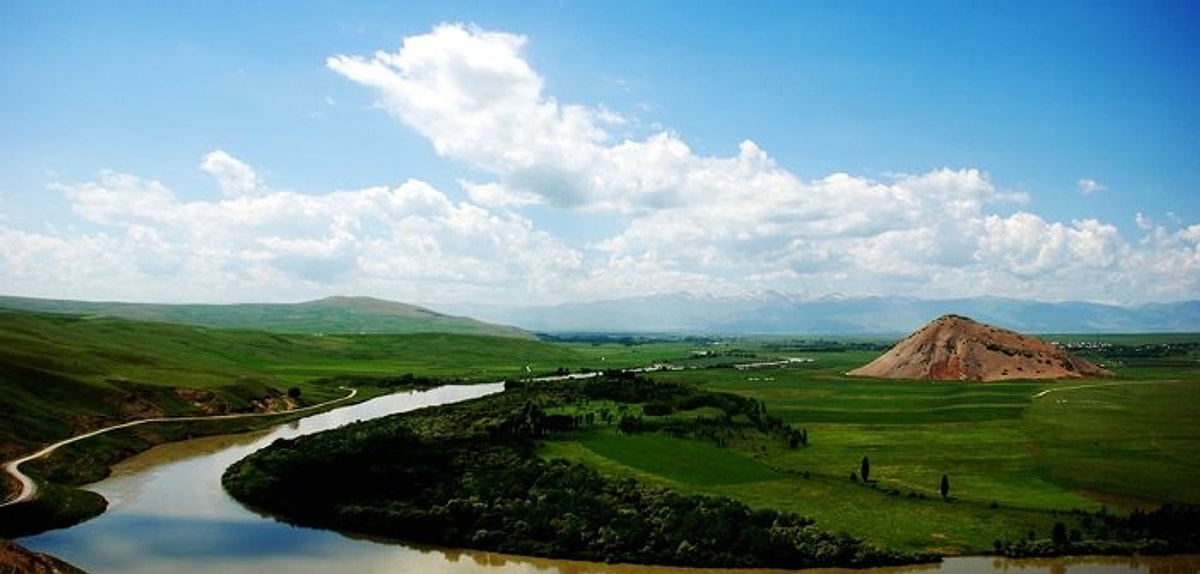 Muş Lale Tarlaları