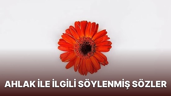 Ahlak Üzerine Söylenmiş Sözler: Ahlak ile İlgili Söylenmiş En Güzel ve Anlamlı Sözler