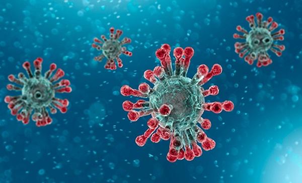 Covid'in çıkış noktasının merkezindeki Çin laboratuvarında yeni bir virüs tespit edildi.