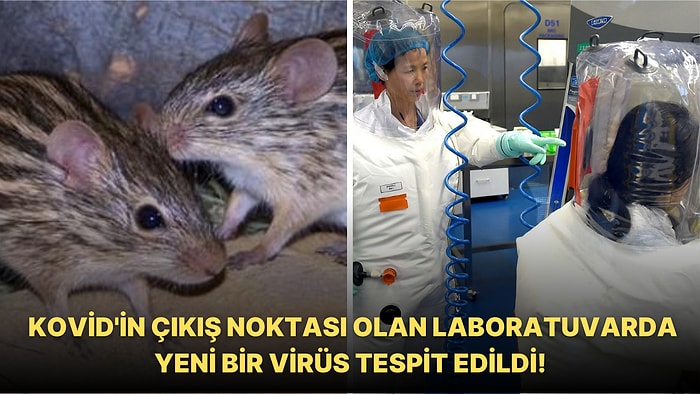 Koronavirüsün Çıkış Noktası Olan Çin Wuhan Laboratuvarında Yeni Bir Virüs Tespit Edildi