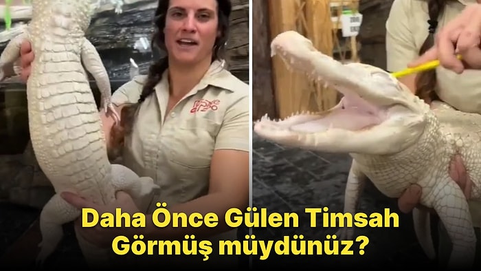 Daha Önce Hiç Gülen Bir Timsah Görmüş müydünüz?