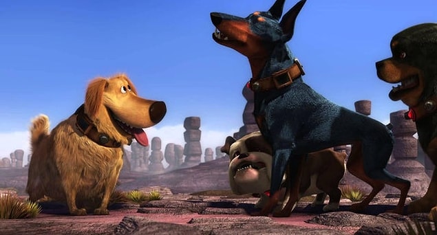 1. 2009 yapımı 'Up' filminde fark ettiyseniz sadece Dug isimli köpek tropikal kuşu yakalamayı başarıyor. Bunun sebebi Dug'ın avcı köpek türlerinden 'Golden Retriever' olması diğer köpeklerin de 'golden' cinsi koruma köpekleri olması.