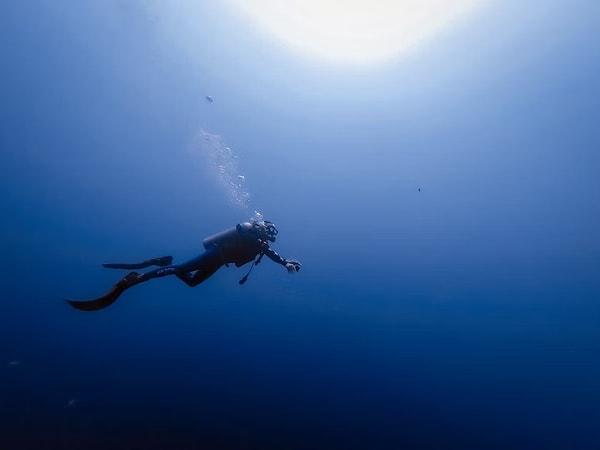 16. 1972 yılında dalgıç Bret Gilliam, bir meslektaşını köpekbalığı saldırısından kurtarmaya çalıştıktan sonra boş bir oksijen tüpüyle yaklaşık 99 metrelik bir derinlikten sağ çıkmıştır.