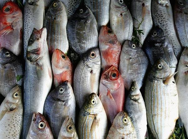 İzmarit, istavrit, sardalya, kılıç balığı, lüfer, kolyoz, izmarit, barbunya, çinekop, çipura ve kırlangıç Eylül ayının en lezzetli balıklarıdır.