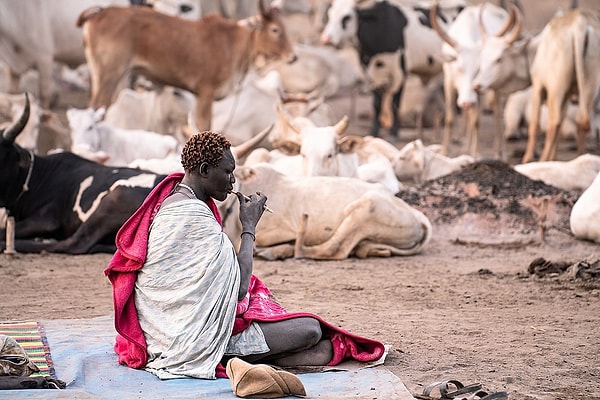 Mundari halkı ineklere insanlardan daha fazla değer veriyor çünkü onlar için inekler güç ve zenginlik anlamına geliyor.