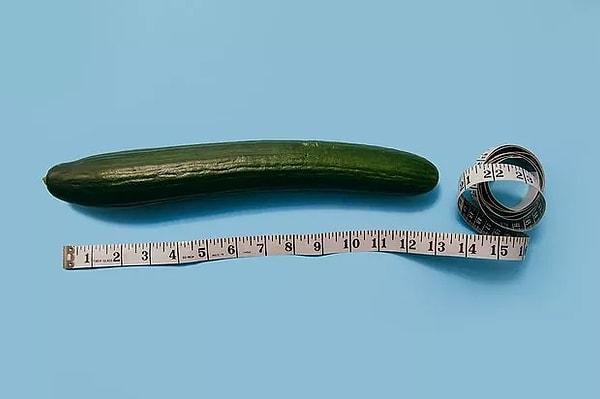 Pekiii gelelim asıl meseleye… Yani ortalama penis boyuna. Şu anda tüm dünyanın erekte olmuş haldeki ortalama penis uzunluğu 13.21 santimetre.
