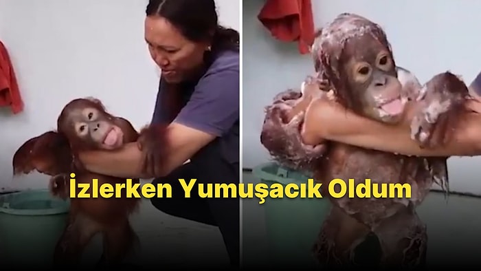 Köpüklü Banyonun Keyfini Çıkartan Yavru Orangutanın İzleyeni Yumuşacık Edecek Görüntüleri