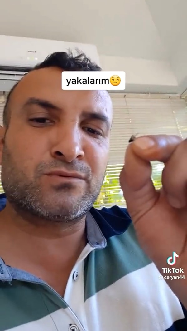 Avına sessiz ve planlı bir şekilde yakalanan dayı, milim milim hareket ederek sonunda avını kapıyor. Verdiği en önemli taktik ise sabırlı olmak…