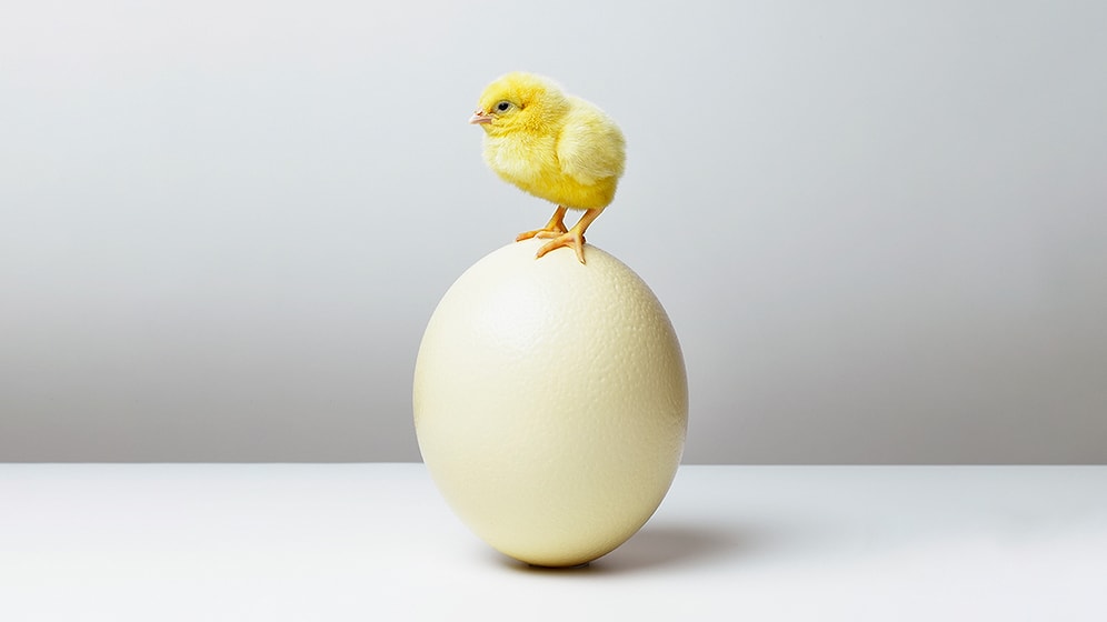 Son Yıllara Damga Vurup Pek Çok İşletmeye İlham Olan Yeni Nesil Girişimcilik Nedir?