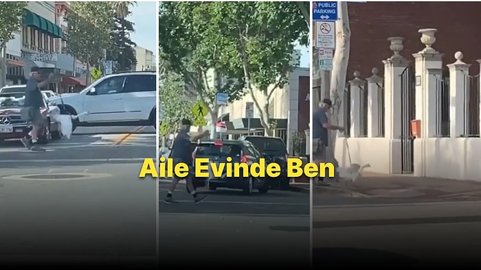 Ördek Dostuna Tasma Takarak Gezintiye Çıkan Adam