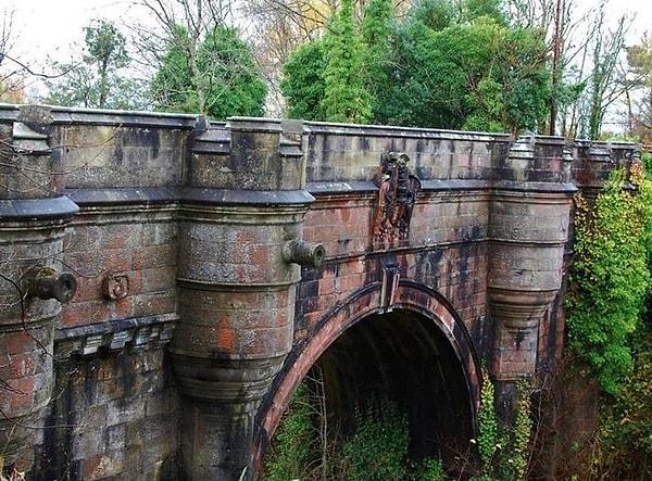 The New York Times tarafından hazırlanan bir rapora göre, paranormal bir varlığın varlığını hissettiği iddia edilen Overtoun Köprüsü'nden düşen veya atlayan birkaç köpek vakası oldu.