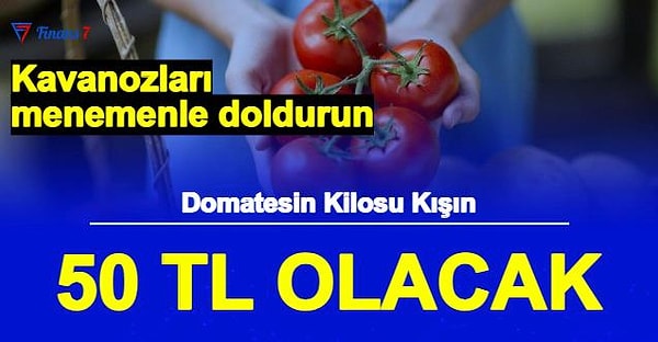 Bloomberg HT'de bir programa katılan Seracılar Birliği başkanı Müslüm Yanmaz havaların soğumasıyla bir kilo domatesin 50 lira olacağını iddia etti.