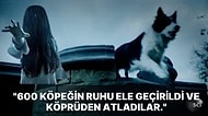 Köpeklerin Kasten Aşağı Atlayıp Kendilerini Öldürdükleri Overtoun Köprüsü'nün Yıllardır Çözülemeyen Gizemi