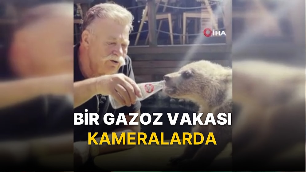 Nuri Alço, Yavru Ayıya Gazoz İçirdi