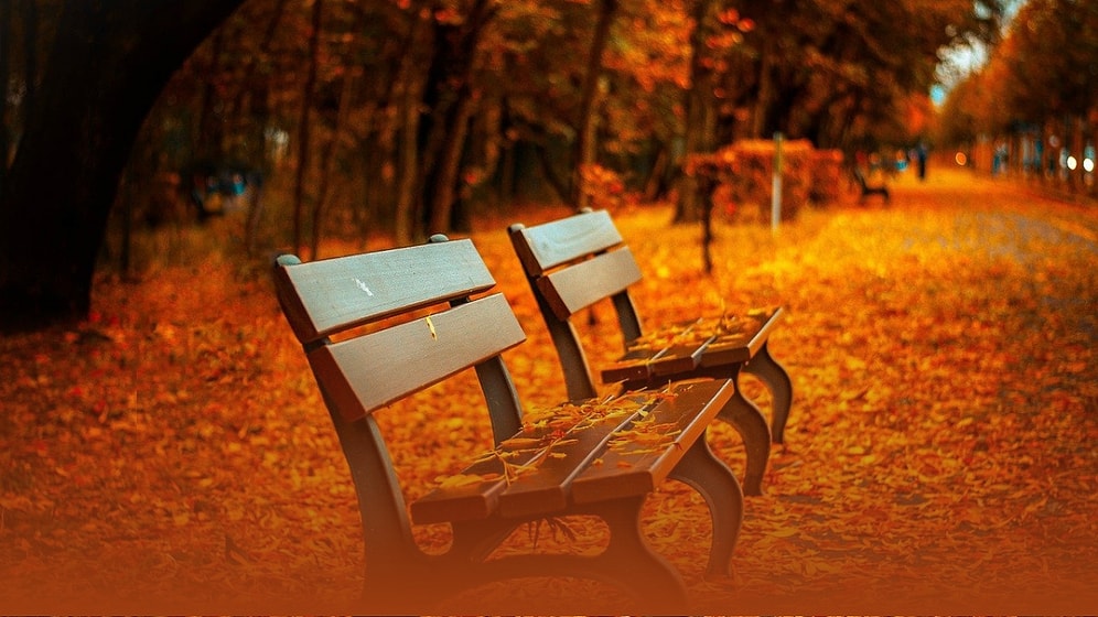 Sonbaharın Hüznü Hepimize Çöktü: Mutlaka Listenize Eklemeniz Gereken 17 Şarkı