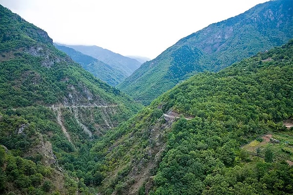 Hatila Vadisi Milli Parkı - Artvin