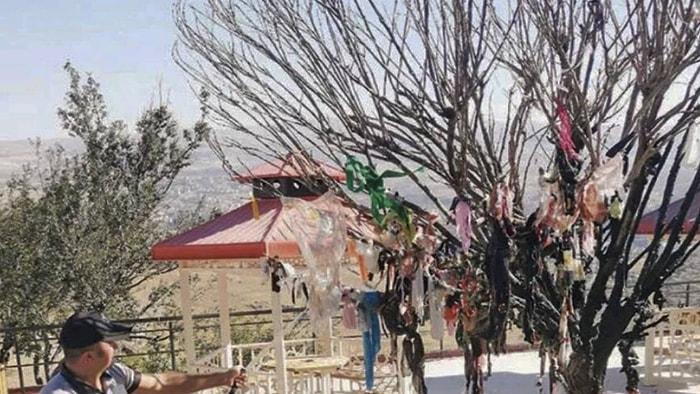 Erdoğan'ın Ziyaret Ettiği Cemevinin 'Dilek Ağacı'nı Yaktılar