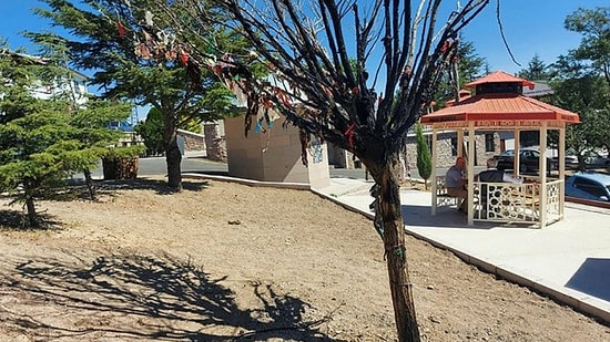 Cemevi Bahçesindeki Dilek Ağacı Yakıldı: Cumhurbaşkanı Erdoğan Ziyaret Etmişti