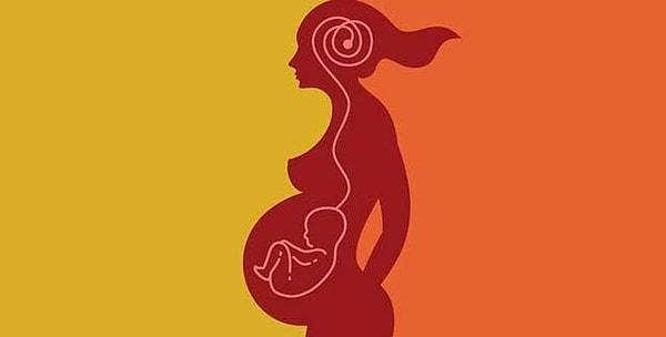 4. Kadınların beyinleri hamilelik sırasında küçülür.