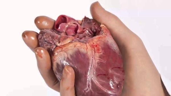 38. İnsan kalbinin içindeki kendi pili sayesinde vücut dışında da beyinden bağımsız olarak atmaya devam edebilir.