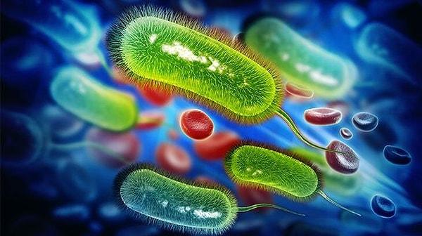 40. Sindirim sisteminde çoğu bakterilerden oluşan ortalama 100 trilyon mikroorganizma bulunur.