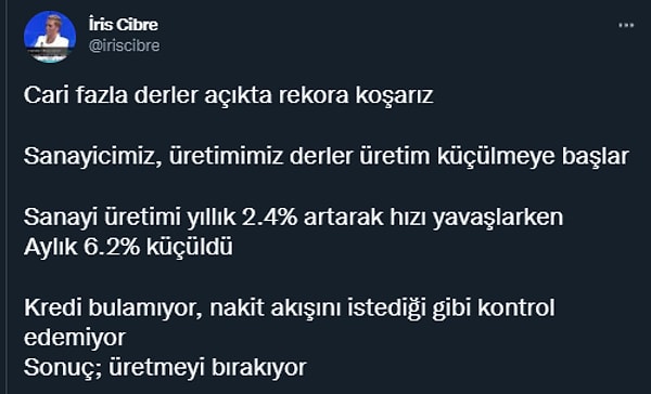 Uzmanlar da sanayi üretimdeki düşüşte hedeflerden uzaklaşmaya dikkat çekti