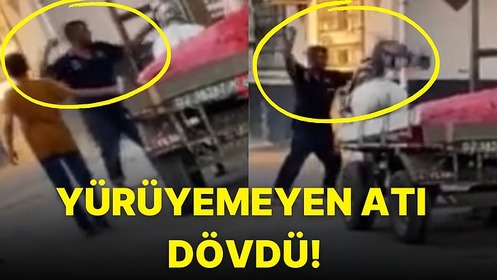 Arabayı Çekemeyen Atı Yumrukla Döven Kişiyi İzleyince Sinirlerinize Hakim Olamayacaksınız