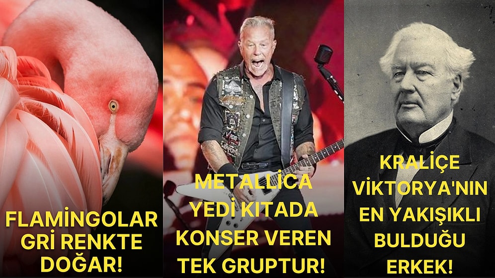 Öğrendiğiniz Andan İtibaren Bilgi Şöleni Yaşayacağınız Birbirinden İlginç Kültürel Gerçekler