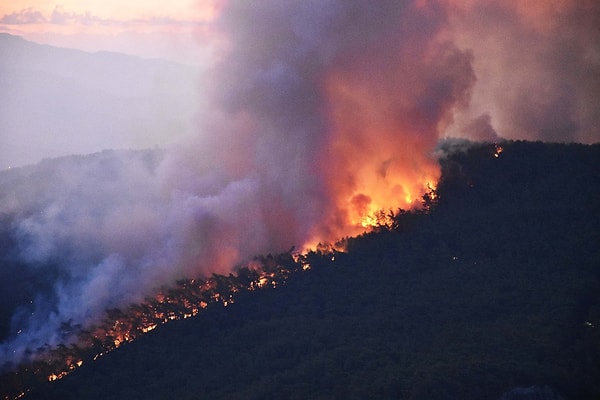Sarp ormanlık ve kayalık bölgede devam eden yangın rüzgarın sık sık yön değiştirmesi nedeniyle kontrol altına alınamazken, sabah erken saatlerden itibaren uçak ve helikopterler devreye girdi.