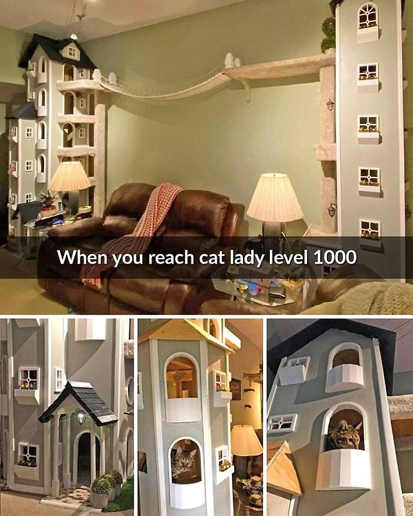 13. Когда ты кот богатой дамы :)