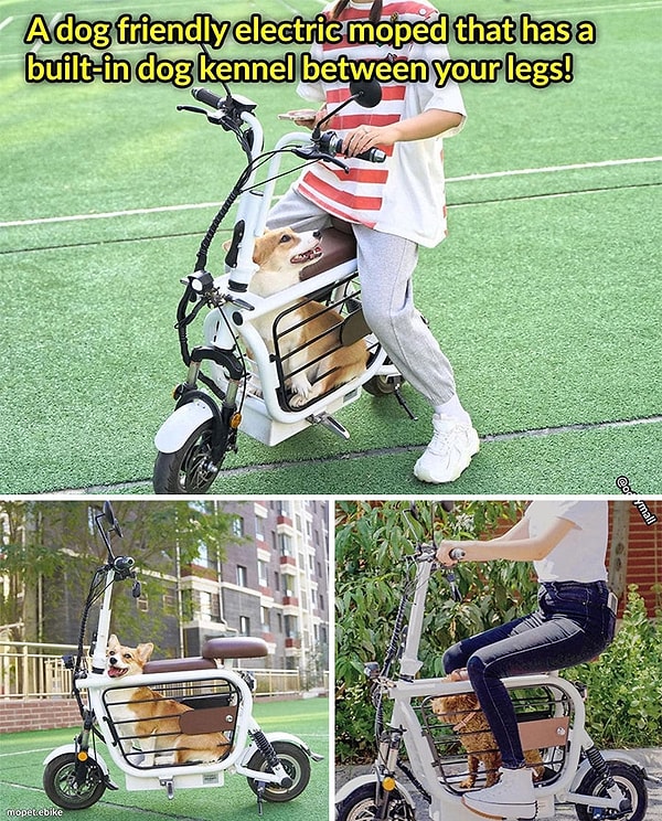 23. Где такой купить?!