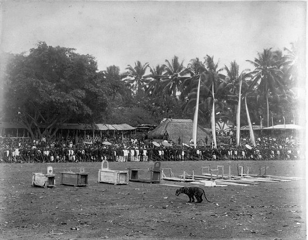 2. Rampokan