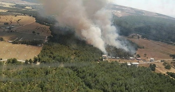 İzmir Orman Bölge Müdürlüğü altında hizmet veren 5 helikopter, 2 uçak, 10 arazöz ve 4 su tankeri yangını söndürmek için müdahalelere başladı.