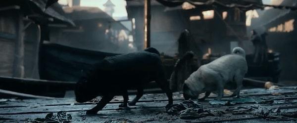 8. 2013 yapımı 'The Hobbit: The Desolation of Smaug' filmindeki köpekler gerçek hayatta filmin yönetmeni Peter Jackson ve eşi Fran Walsh'a aittir.