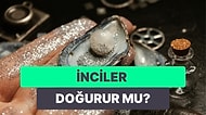 Denizin İnsanlığa En Değerli Hediyesi İnciler Hakkında Daha Önce Hiç Duymadığınız Gerçekler