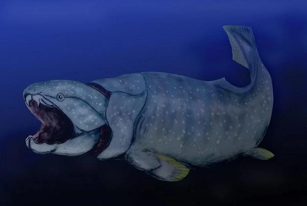 Gogo balığı, placoderm adı verilen balık sınıfının ilki. Placodermler, 60 milyon yıl boyunca gezegenin baskın yaşam formuydu. Dinozorlar yokken, 100 milyon yıldan fazla bir süre önce onlar vardı.